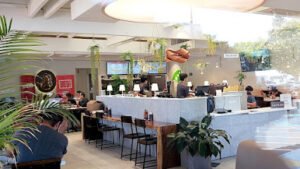 Pho Hoa + Jazen Tea (San Ramon)