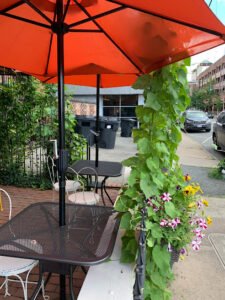 Pho restaurants in Charlottesville, Virginia